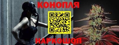 амф Кандалакша