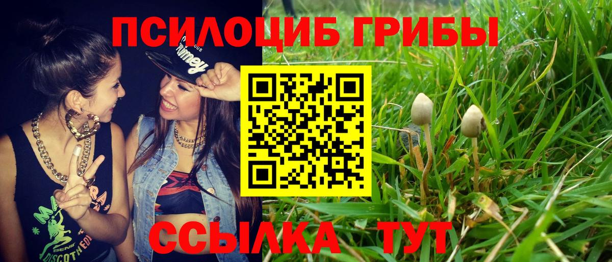 Псилоцибиновые грибы прущие грибы  Псилоцибиновые грибы ЛСД  Вход с VPN  Ленинск-Кузнецкий 